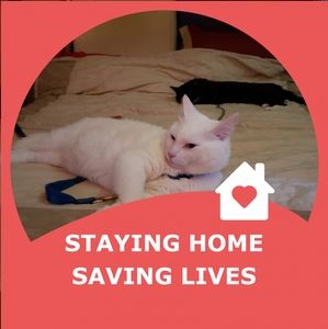 Meet your Posher, Allen